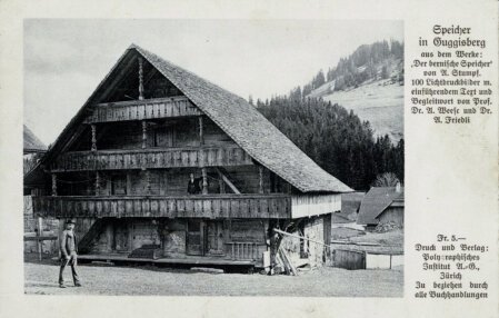 Nr. 11