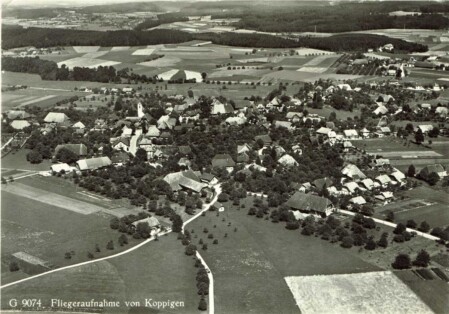 Koppigen