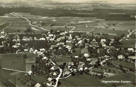 Koppigen
