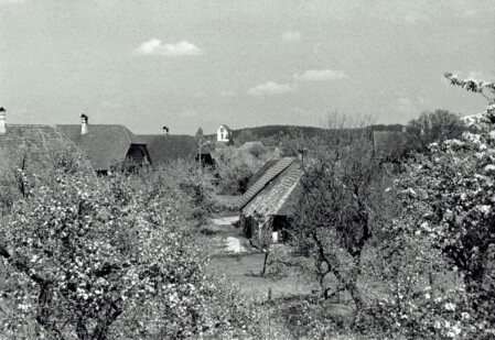 Foto: Emil Beyeler