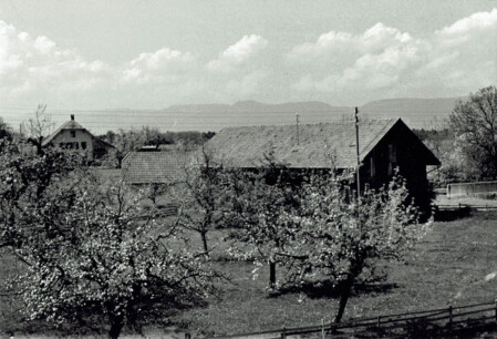Fotos: Emil Beyeler-Polzato